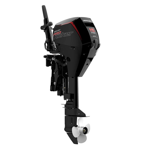 OUTBOARD_FOR_SALE_5-1.jpg 2020 Mercury 15 HP EFI 15EXLHPT-CT-PK Outboard Motor - Image 1